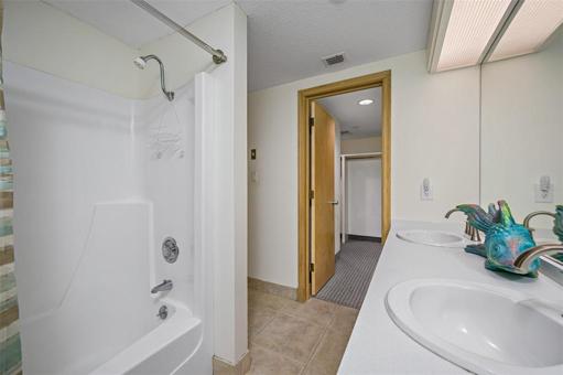 Master Bathroom Alt View