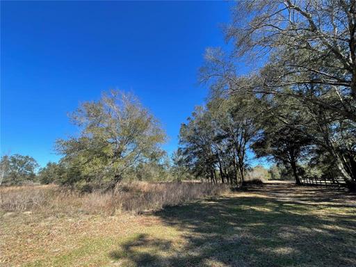 10 Acres