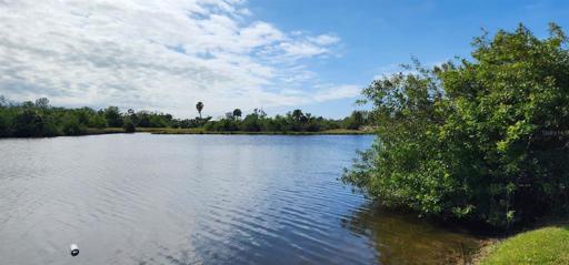 Another Great View of your backyard...