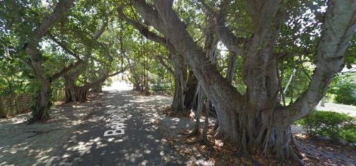 Must stop the car and get pictures  on Banyan St in Boca Grande....