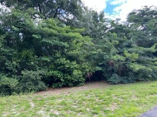 South Side Property line