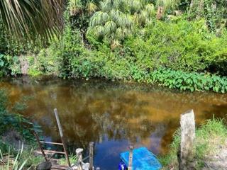 Bull Frog Creek