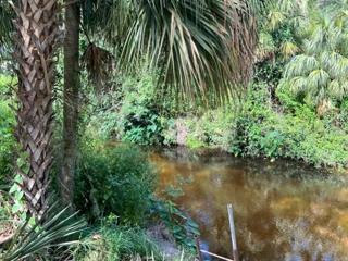 Bull Frog Creek