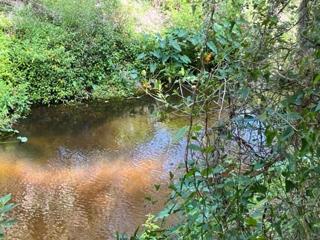 Bull Frog Creek