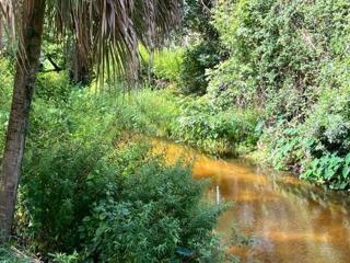 Bull Frog Creek