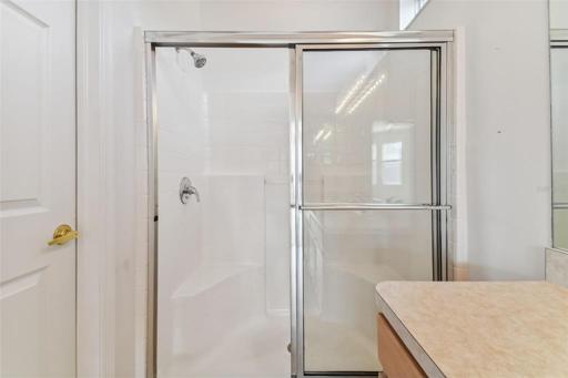 Walk-In Shower in Master Bath