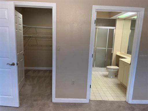 Bathroom and walk-in closet