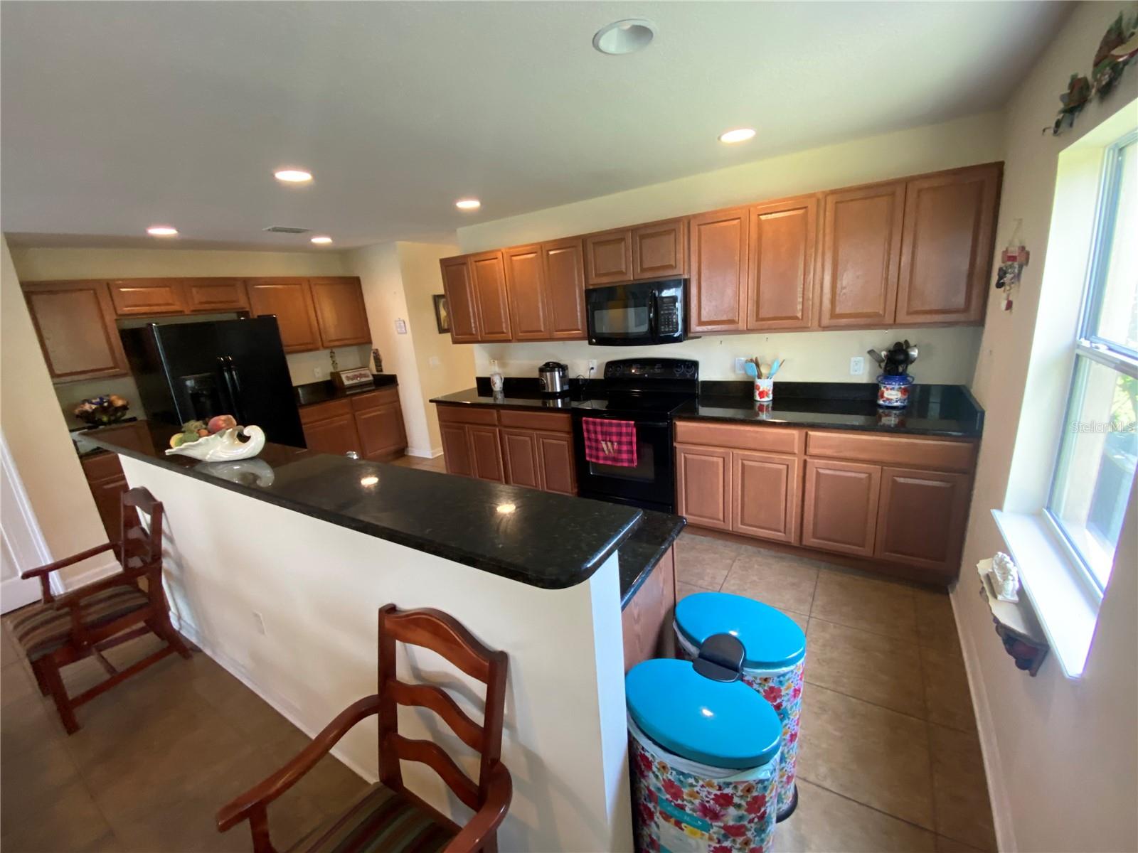 Kitchen - view 2 showing the expansive countertop areas.