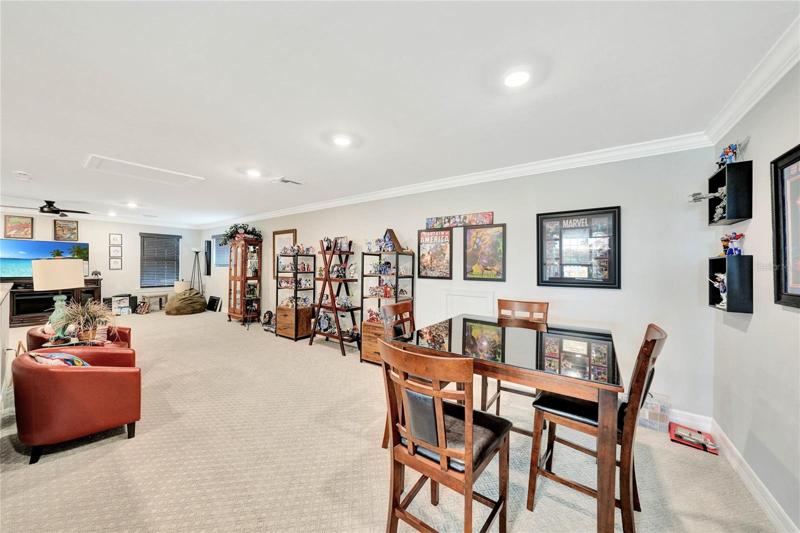 Game/Media Room