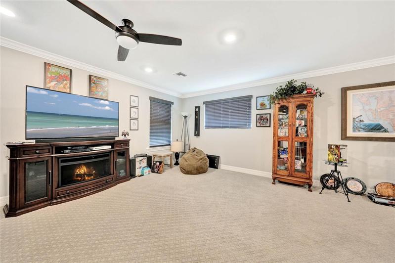 Game/Media Room
