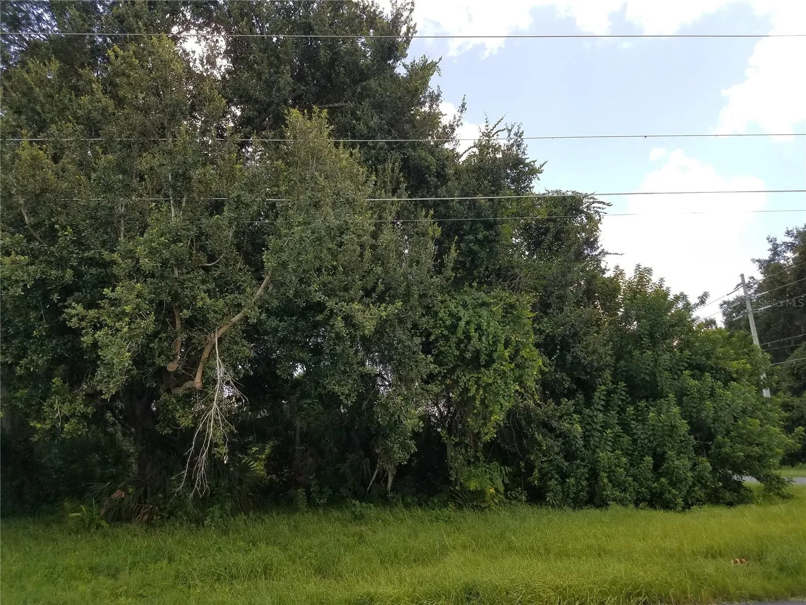 Kissimmee, Florida 34744, 0 , 0 ,0,Land,For Sale,0,O6086906