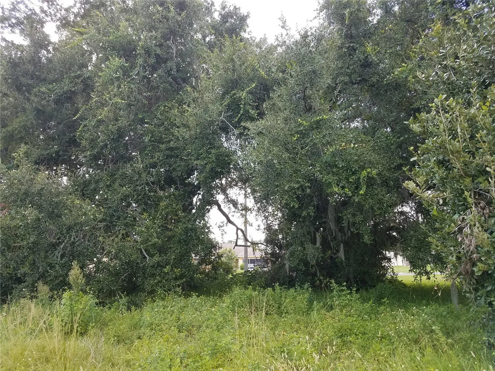 Kissimmee, Florida 34744, 0 , 0 ,0,Land,For Sale,0,O6086906