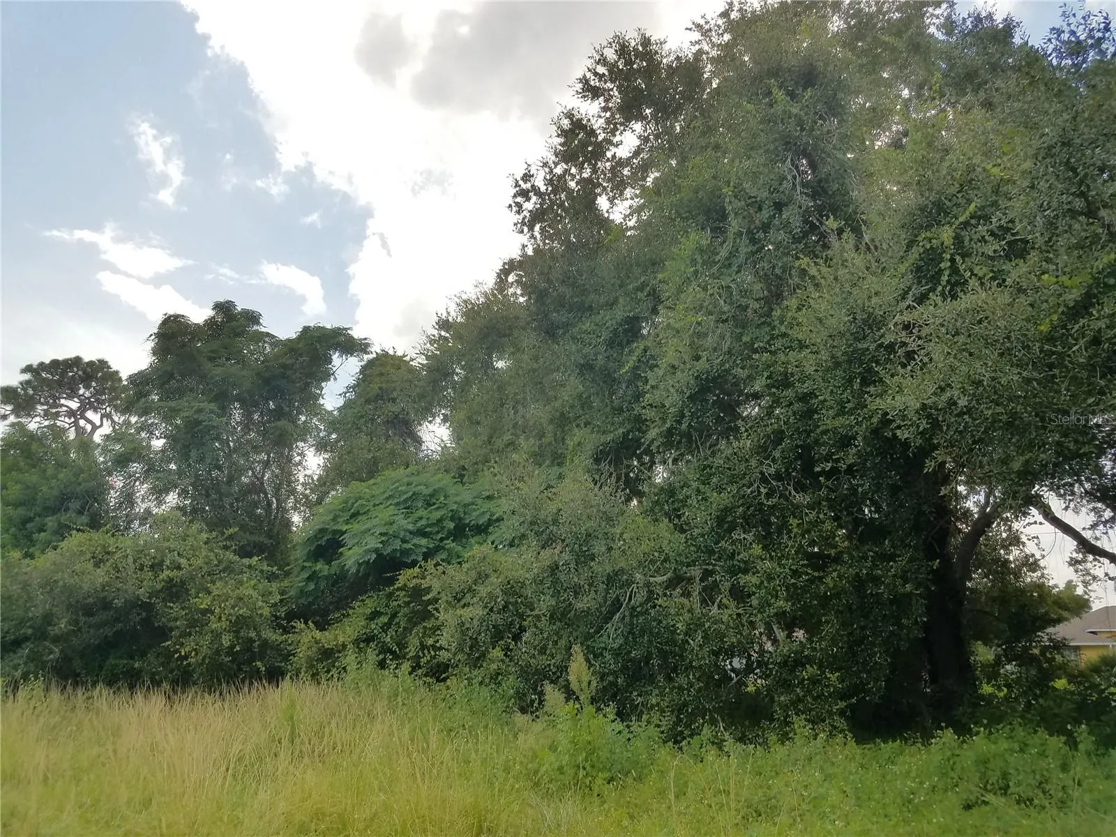 Kissimmee, Florida 34744, 0 , 0 ,0,Land,For Sale,0,O6086906