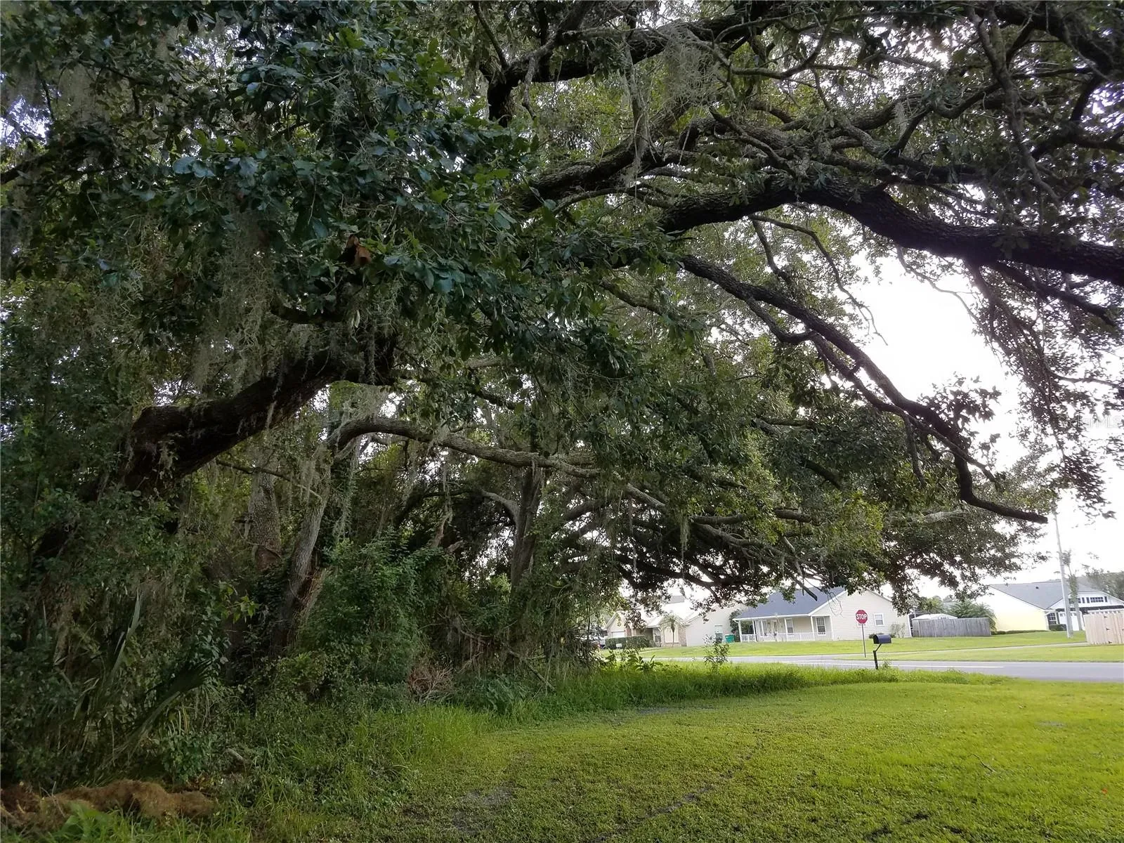 Kissimmee, Florida 34744, 0 , 0 ,0,Land,For Sale,0,O6086906