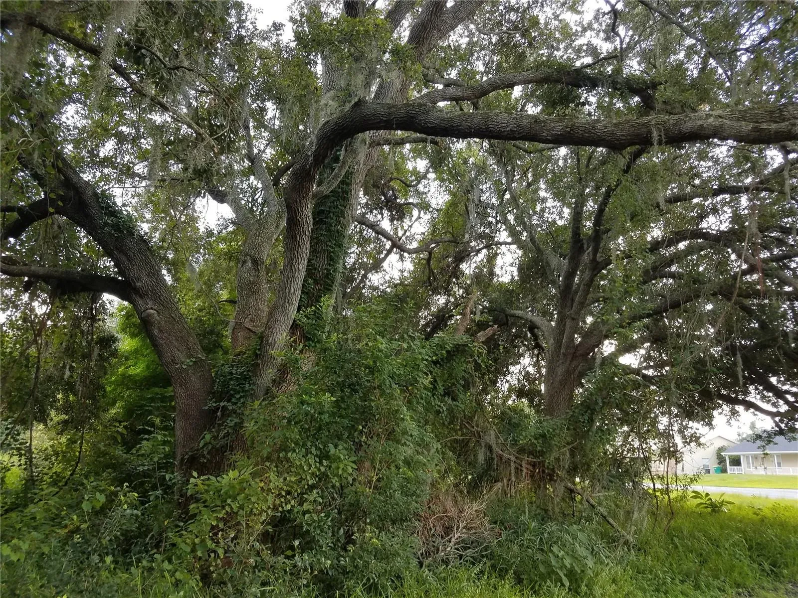 Kissimmee, Florida 34744, 0 , 0 ,0,Land,For Sale,0,O6086906