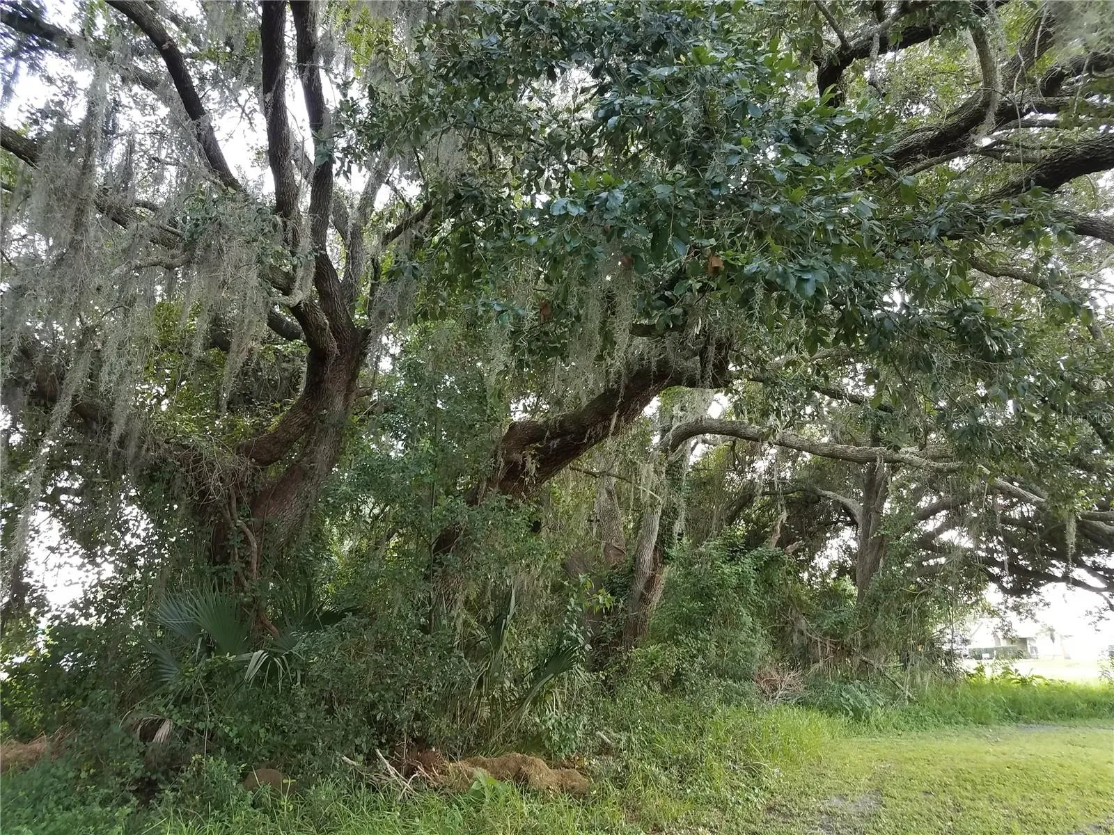 Kissimmee, Florida 34744, 0 , 0 ,0,Land,For Sale,0,O6086906