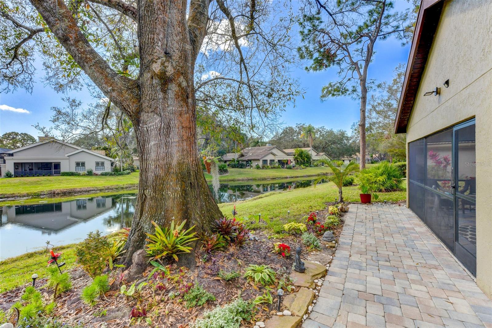 Backyard with the covered porch