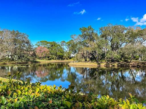 Tranquil view of the lake
