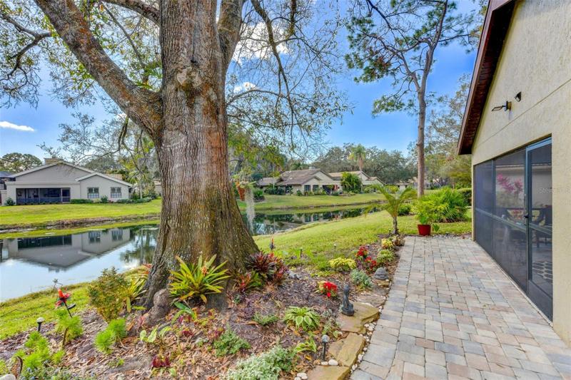 Backyard with the covered porch