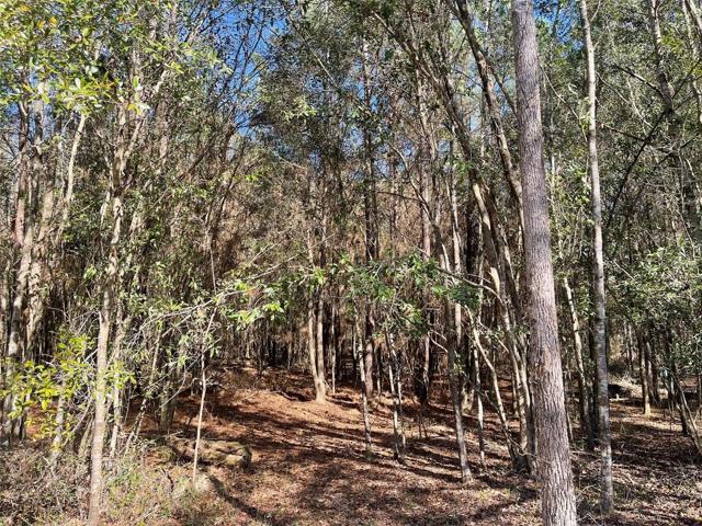 Wooded and private