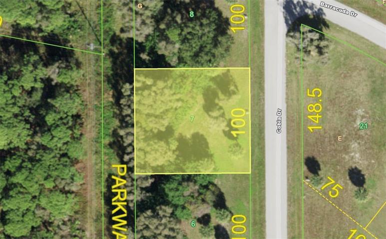 Aerial View of the lot
