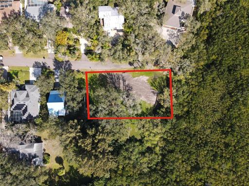 85x113 - 9605 sq.ft. of vacant residential land - surrounded by mangroves in a very quiet neighborhood of Safety Harbor