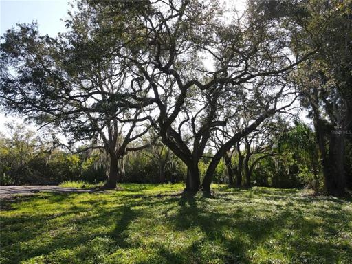 Vacant lot with a private backyard with beautiful oak trees overlooking mangroves and Old Tampa Bay