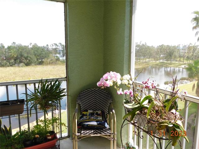 15' x 9' lanai view