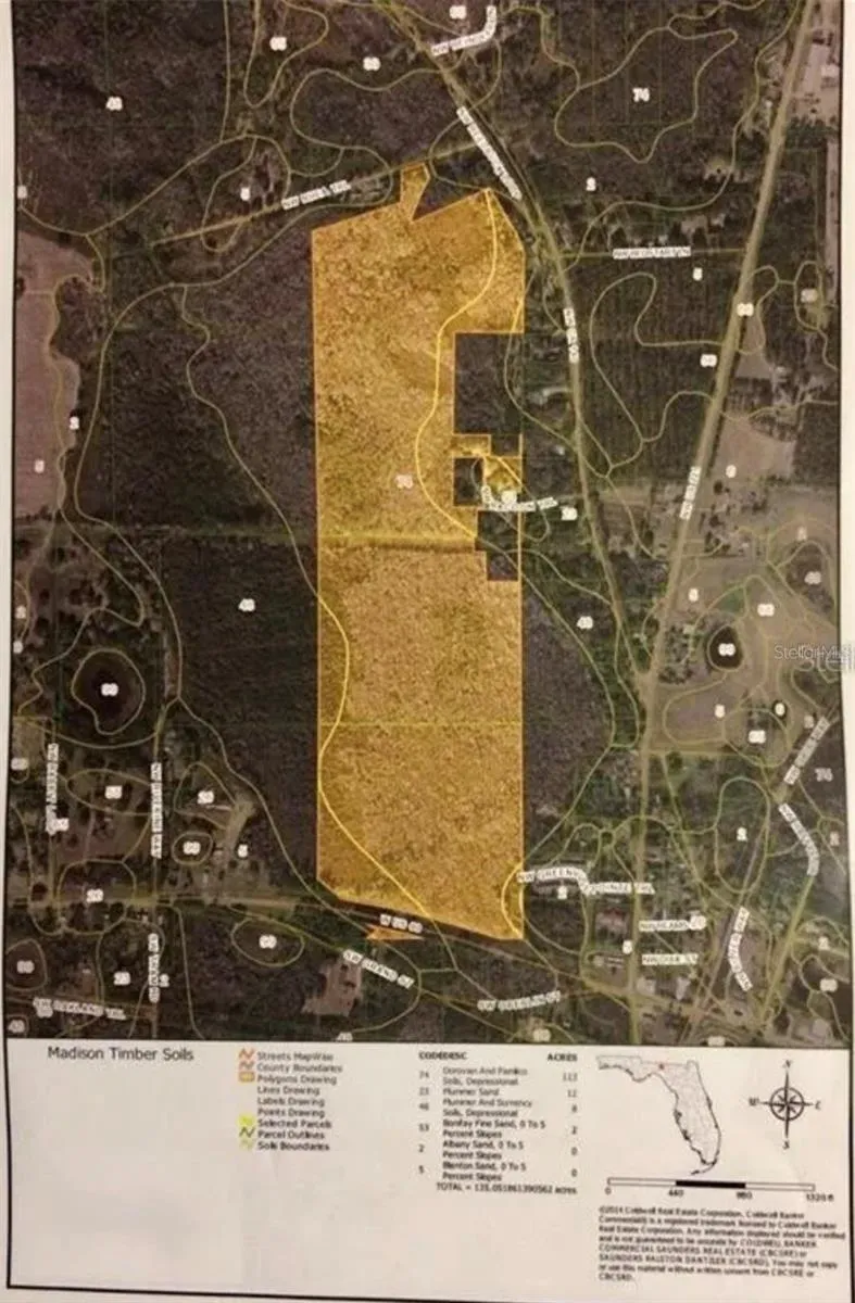 Greenville, Florida 32331, 0 , 0 ,0,Land,For Sale,US 90,0,T3426757