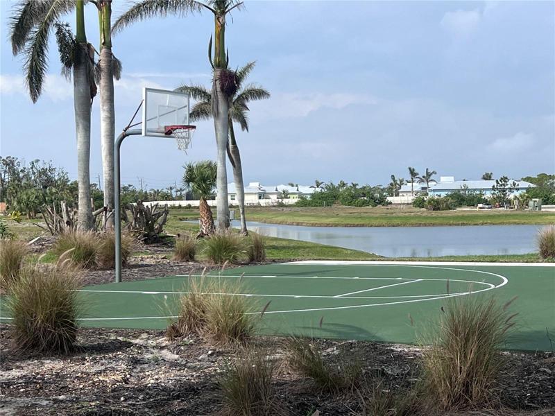 Basketball