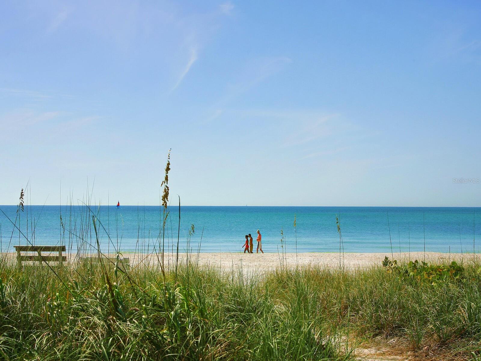 The prettiest beach of the Gulf Coast ~ Longboat Key