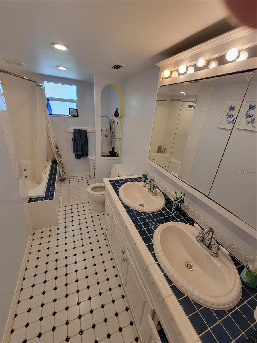 Hall Bathroom dual sinks