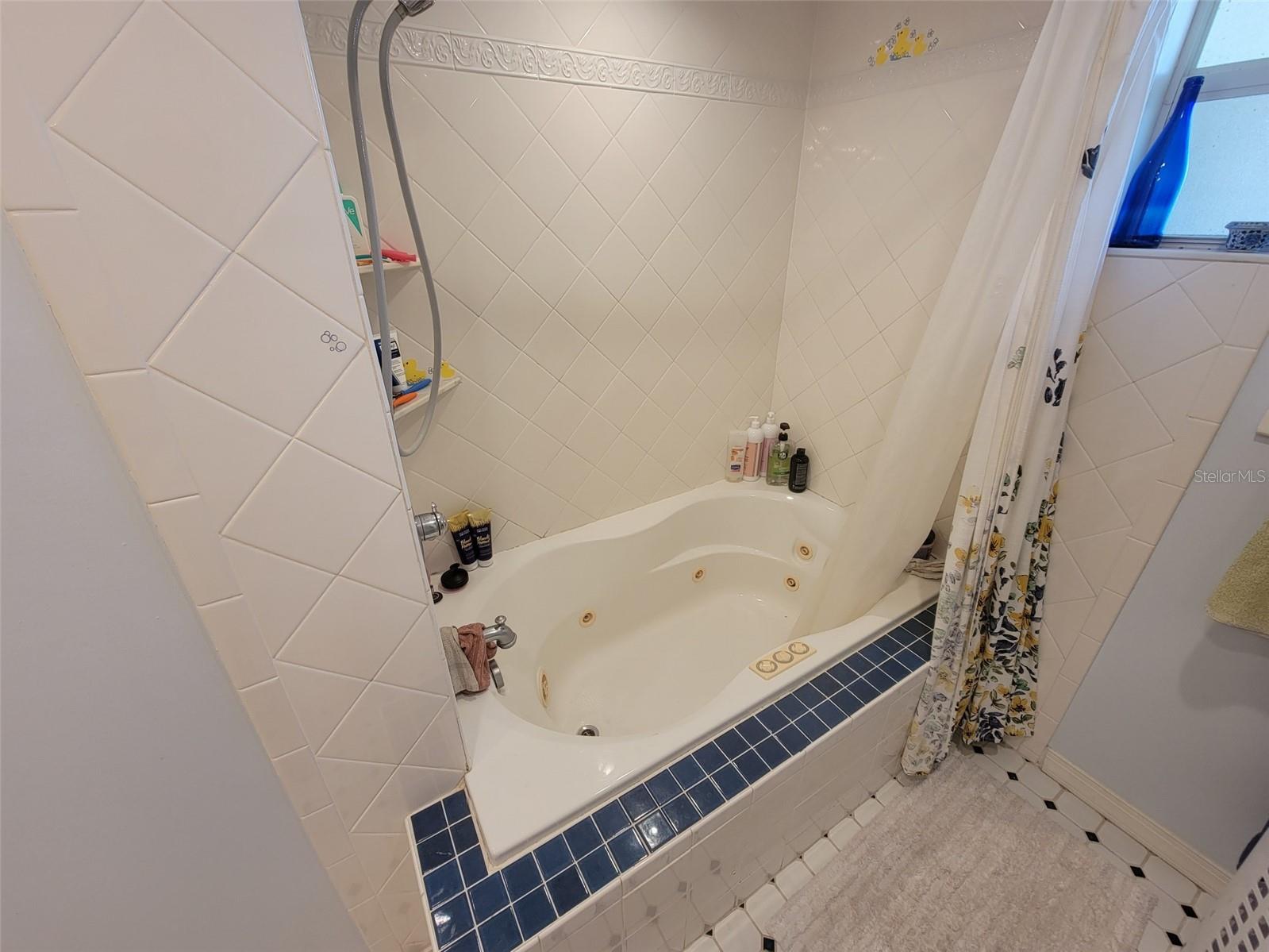 Hall Bathroom Tub