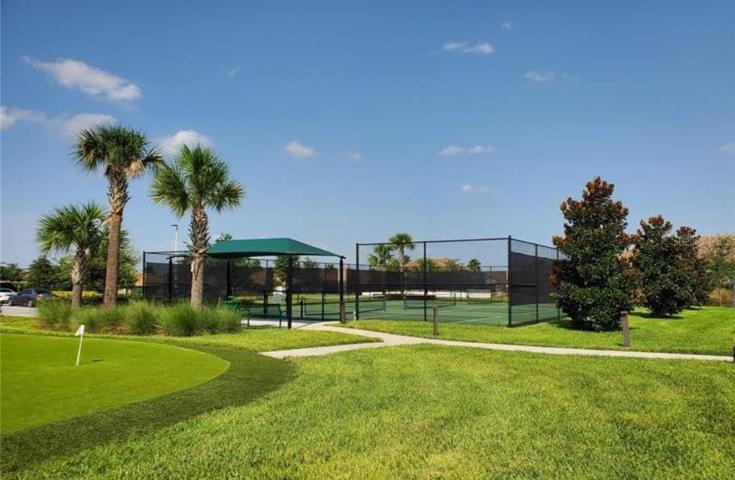 tennis anyone?