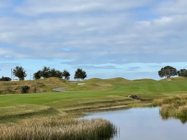 Golf courses around