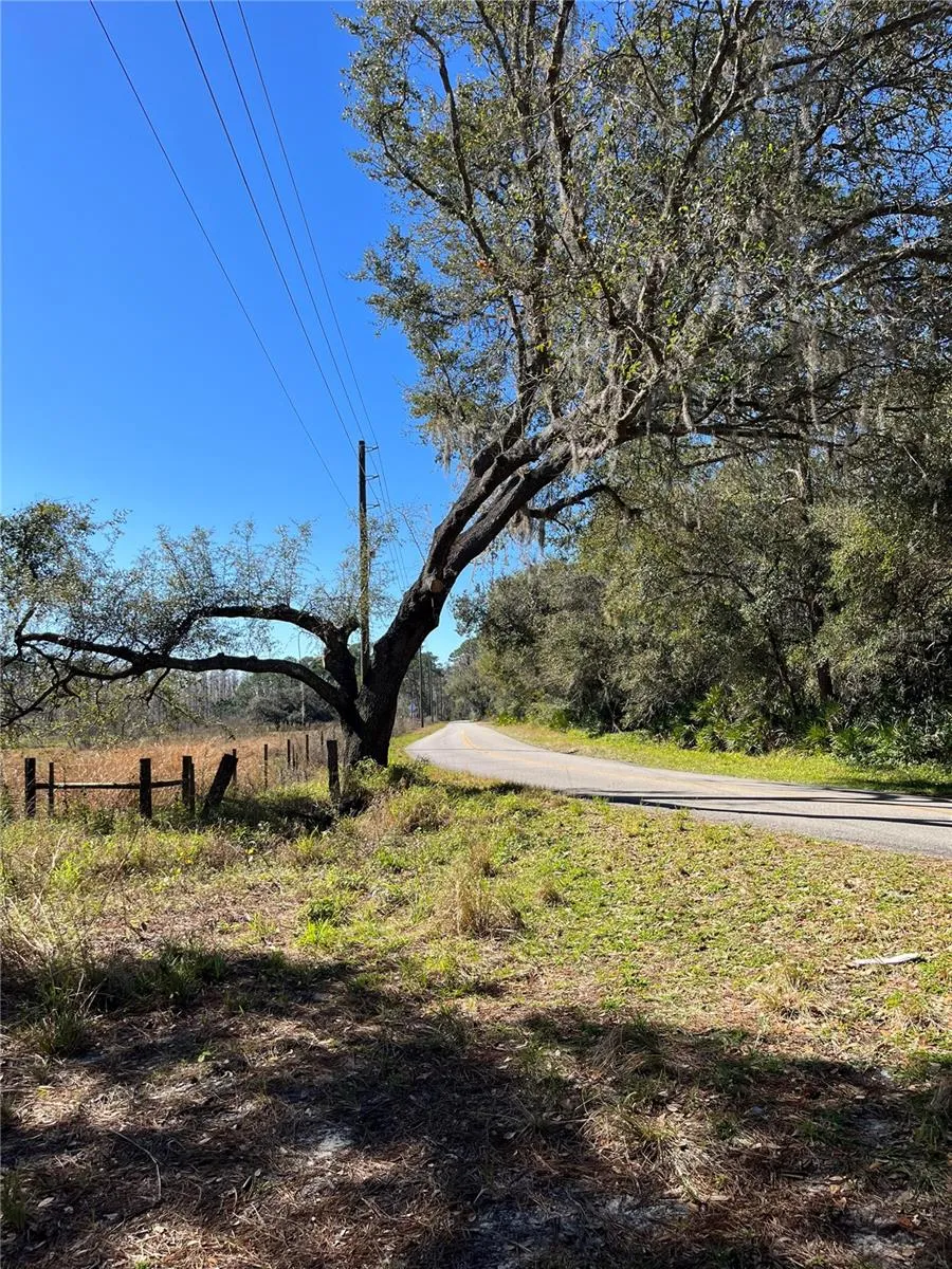 Looking out from land to road