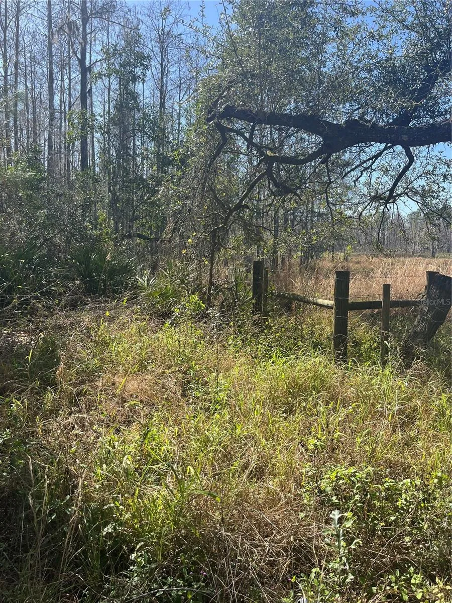 Fence line