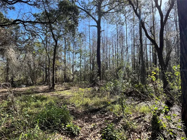 Looking towards back of property