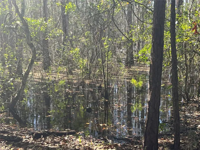 Water-pond-marsh