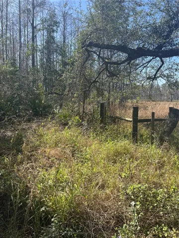 Fence line