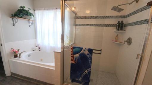 Master Shower