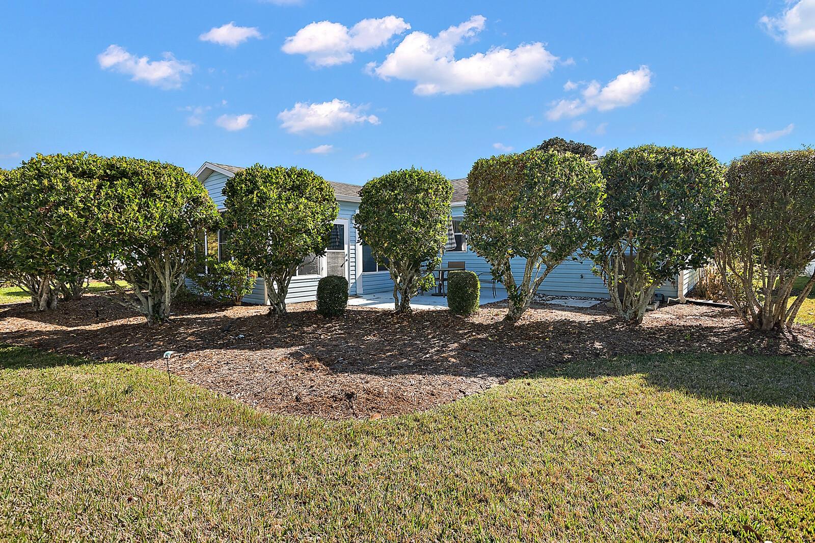 Well Manicured Ligustrum Trees Overlooking the Rear Patio