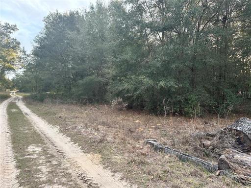 Ocala Ridge Unit 10