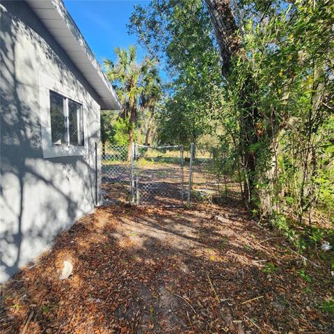 Side yard