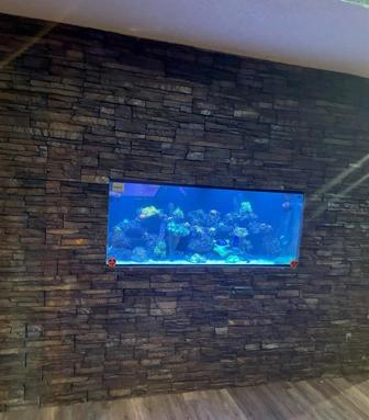 Fish Tank