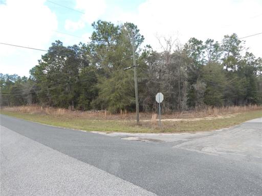 Corner Lot Picture of Southeast corner