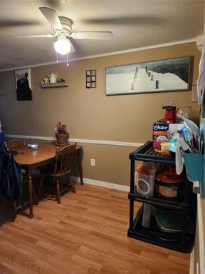 Dining/Living Room