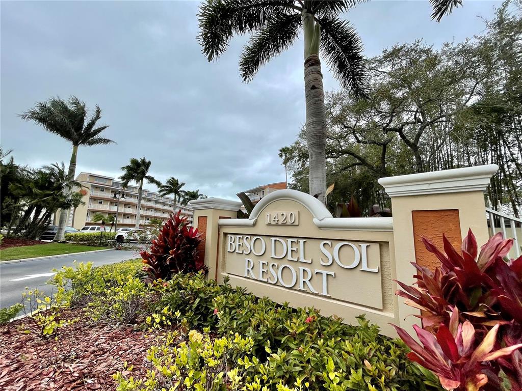 Rare opportunity in Dunedin Florida!