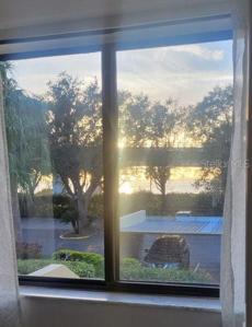 View from kitchen 