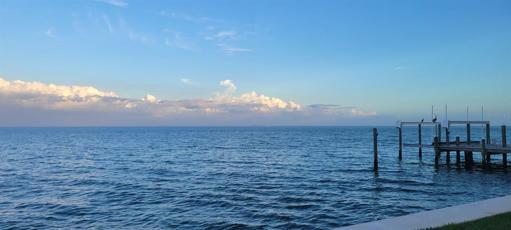 seawall by the unit 